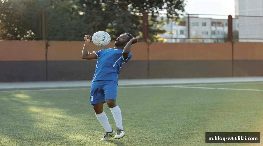 探索利来66国际